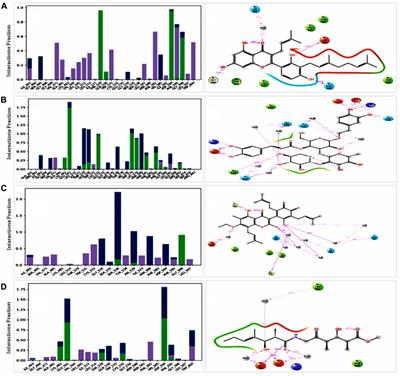 Identification of novel natural drug candidates against BRAF mutated carcinoma; An integrative in-silico structure-based pharmacophore modeling and virtual screening process